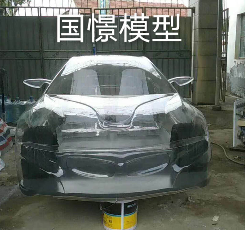 突泉县透明车模型